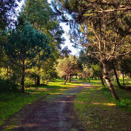 Sea Twins Villa Praia de Mira